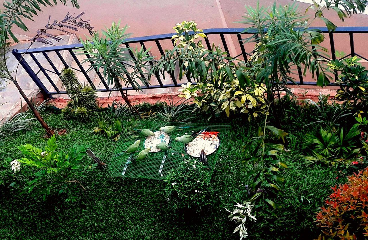 Saru Holiday Apartment - Up To 6 Guests Kandy Zewnętrze zdjęcie